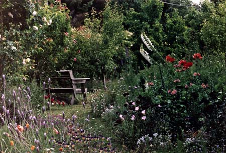 Cottage Garden