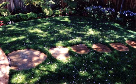 Stepping Stones through Grass
