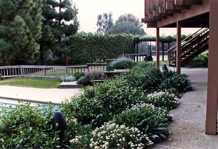 Landscape Design above Swimming Pool